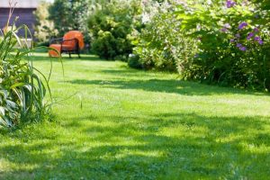 travaux jardin et paysage Aumes